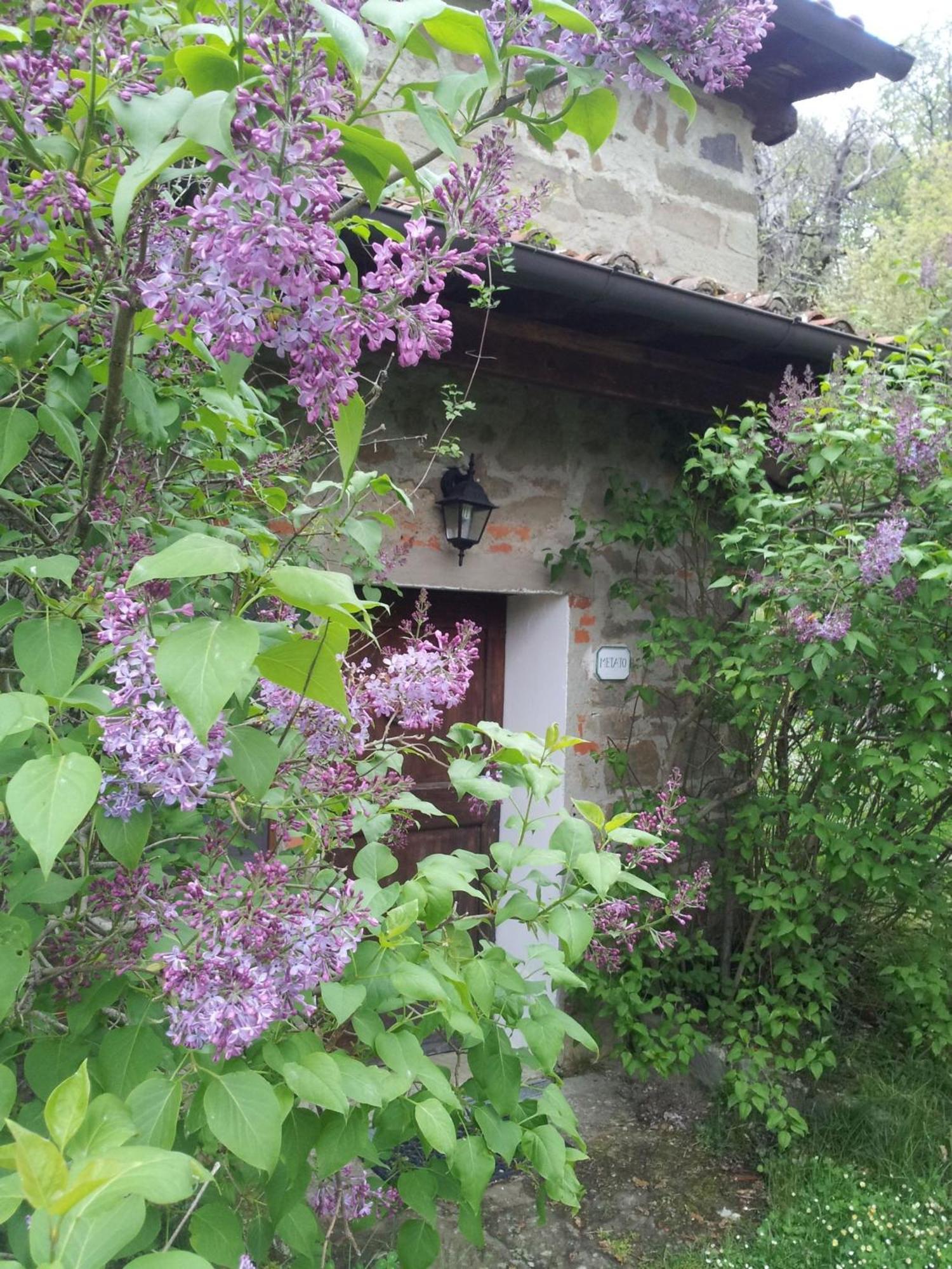 Villa Fattoria Il Praticino - Metato Castelfranco di Sopra Exterior foto
